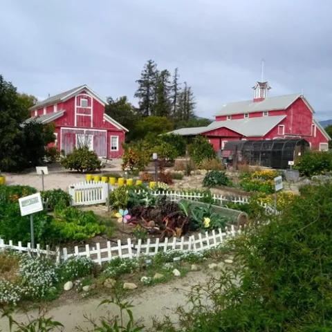 Behind the barns, UC Master Gardener volunteers maintain a demonstration garden where they hold workshops for home gardeners and students.