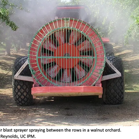 Air blast sprayer in walnut orchard
