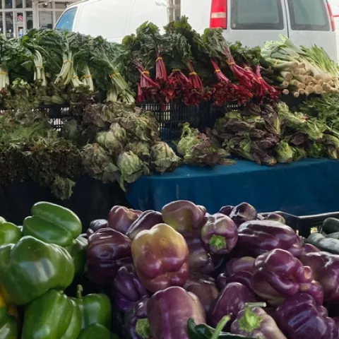 Webinar on Increasing Resiliency of Farmers' Markets and Equitable Access to Fresh, Local Produce will be presented Oct. 13.