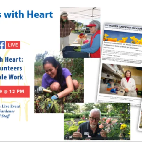 Gardeners with Heart Blog Screenshots