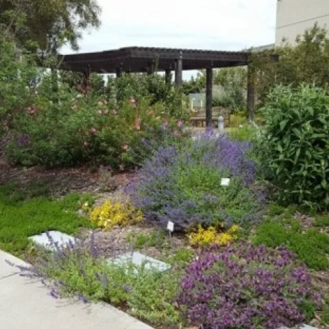 San Joaquin Master Gardeners