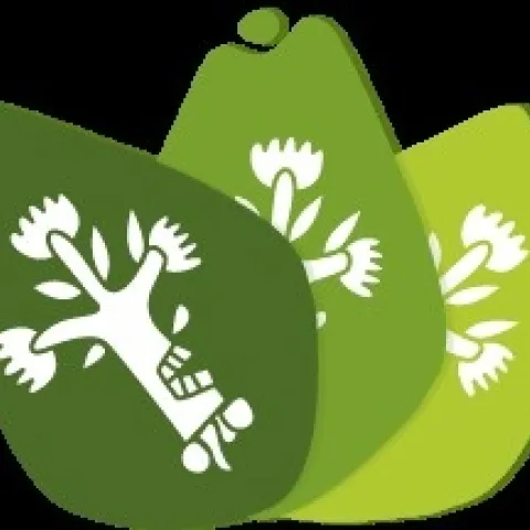 avocado icon