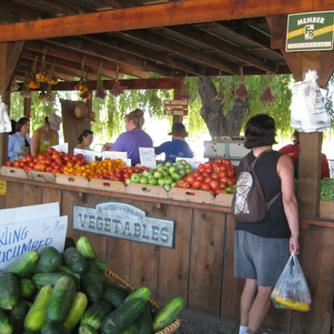 farm stand at Smith Family Farms