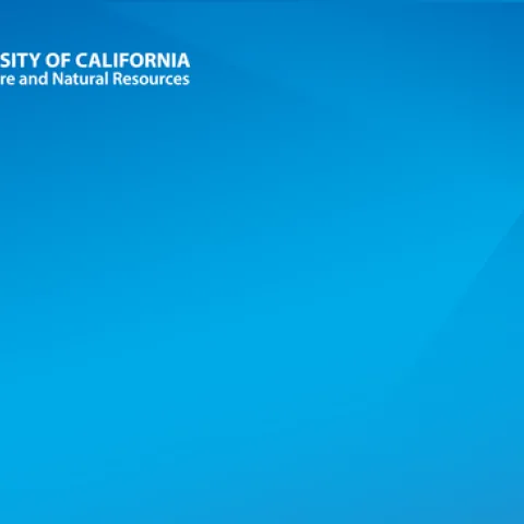 UCCE Zoom background