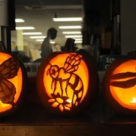 These three jack o'lanterns represent a butterfly, bee and dragonfly. They were among Halloween decorations at the Bohart Museum of Entomology's annual Halloween parties. (Photo by Kathy Keatley Garvey)