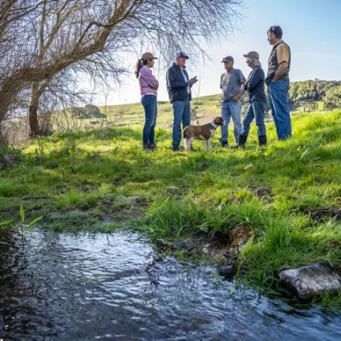 Photo by: Hector Joel Amezcua, UC CAES