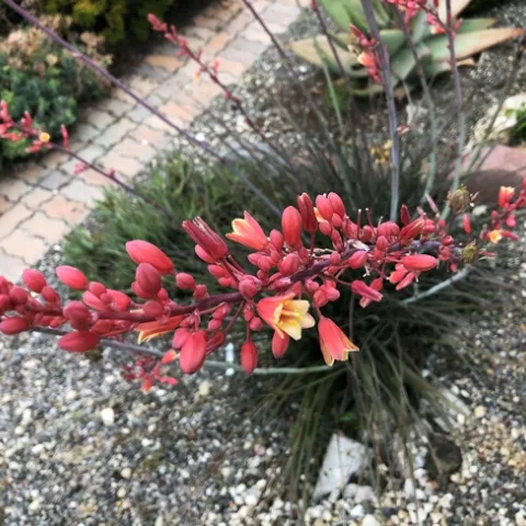 Photo by Jacqueline Shubitowski
