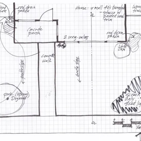 Base map for planting design, Eve Werner