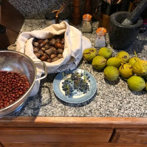 De izquierda a derecha- las bayas comunes de manzanita, bellotas de roble negro, uvas silvestres de California, sal y nueces negras. "Estos alimentos representan generaciones de conocimiento, dedicación y perseverancia. Es maravilloso pensar en cada uno de ellos, de dónde vinieron. Pensar la última vez que estuve allí y cuando vuelvo a visitar. Lo que las plantas, los animales y la tierra me han enseñado, y pensar sobre todo nuestro tiempo juntos", dijo Peter Nelson. Foto por Peter Nelson.