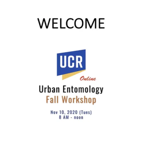 Screen Shot 2020-11-22 at 7.44.07 PM