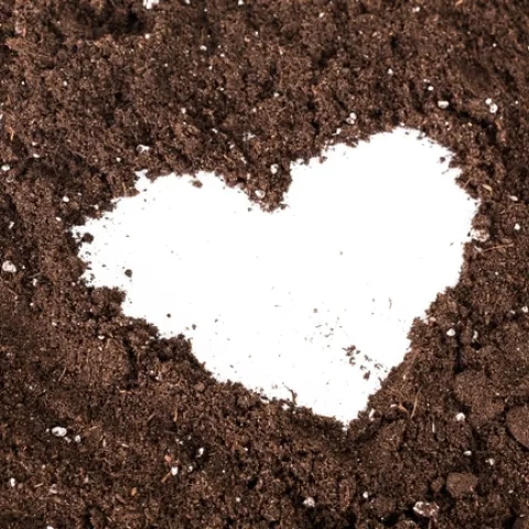 Brown soil with white heart pattern