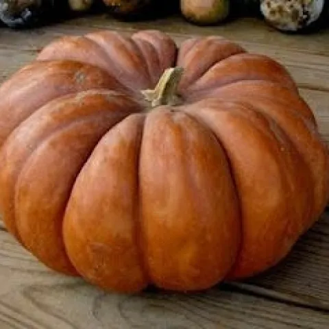 1d297a021a616560750c2affbf08f457