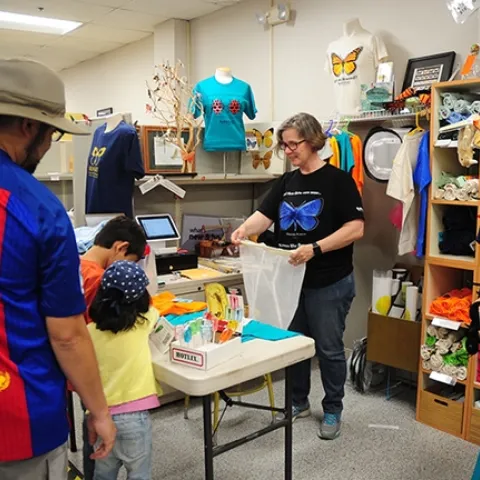Bohart Museum associate Fran Keller, a professor at Folsom Lake College who received her doctorate in entomology from UC Davis, helps out at the gift shop (before the COVID-19 precautions). (Photo by Kathy Keatley Garvey)