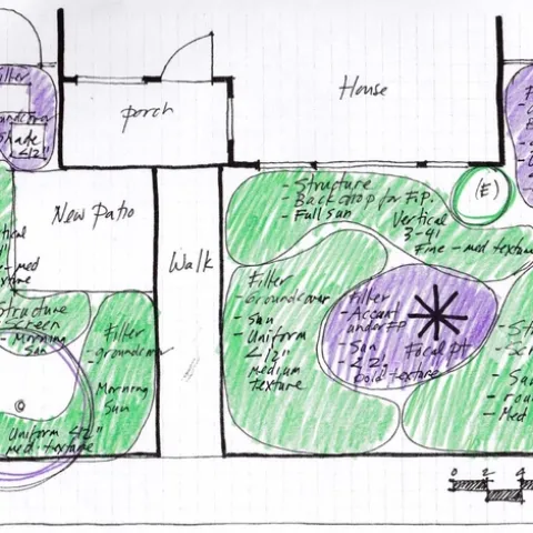 Preliminary planting plan, Eve Werner