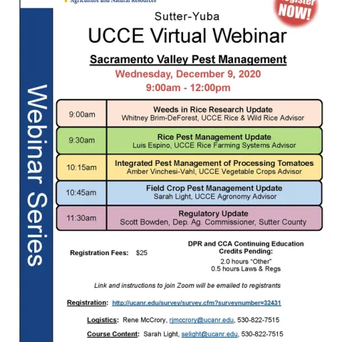 12-9-2020 webinar flyer