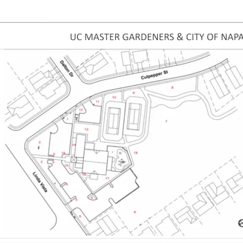 Las Flores whole thing