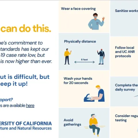 Stay the course message