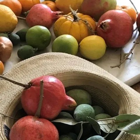 Whole pomegranates with seasonal fruit