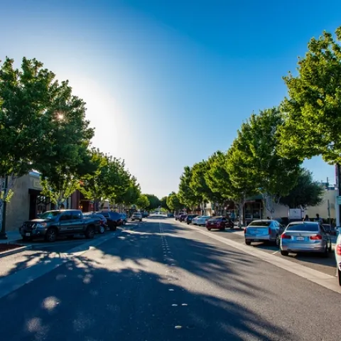 Tree canopy provides shade in downtown Tracy