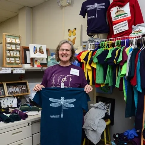 Museum scientist Fran Keller in the gift shop of the Bohart Museum of Entomology. A professor at Folsom Lake College, she is an alumnus of UC Davis, with a doctorate in entomology. (Photo by Kathy Keatley Garvey)