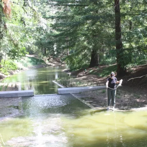 River Turbidity Sample