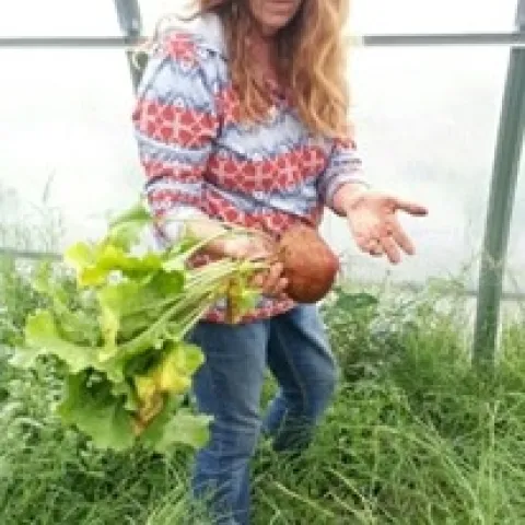 San Bernardino County Master Meredith Hergenrader showing golden beets that she grew in her greenhouse.
