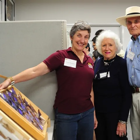 Lynn Kimsey (left), director of the Bohart Museum of Entomology and professor of entomology at UC Davis, shows Richard and Evelyne Rominger a display at the Bohart Museum on UC Davis Picnic Day, April 17, 2015. The Romingers are both UC Davis alumni. (Photo by Kathy Keatley Garvey)