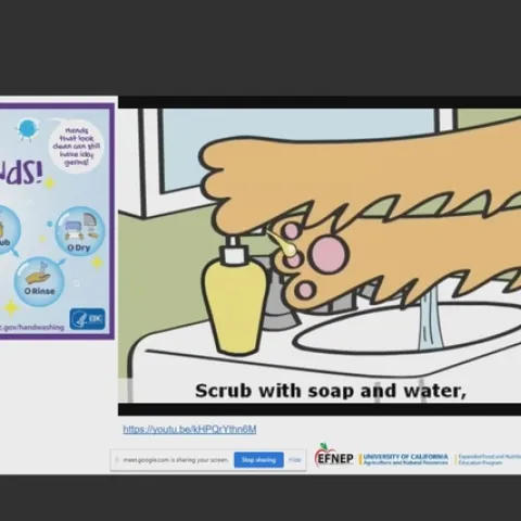 Educator shares CDC graphic and information on handwashing.