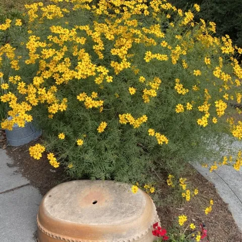 photos by Erin Mahaney