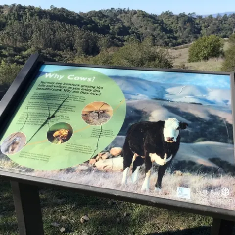 Mark Bell takes a hike and comes across some of Sheila's work