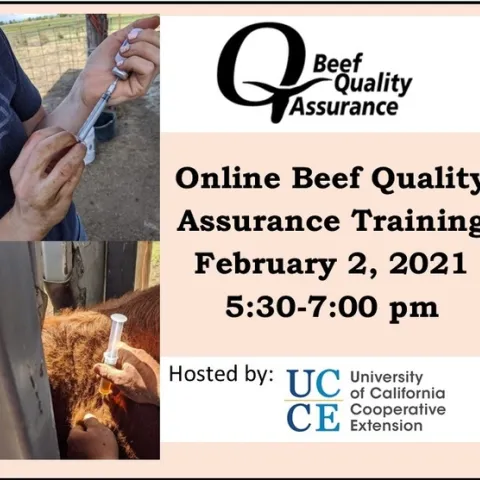 BQA Online annoucement