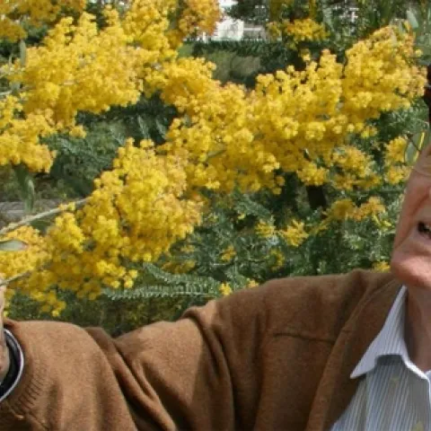 Professor Emeritus Eric Conn, a noted plant biochemist who nurtured the UC Davis Arborteum’s acacias for scientific as well as aesthetic reasons, died Sept. 2, 2017. He was 94. The Arboretum is part of the College of Agricultural and Environmental Sciences.(UC Davis Photo)