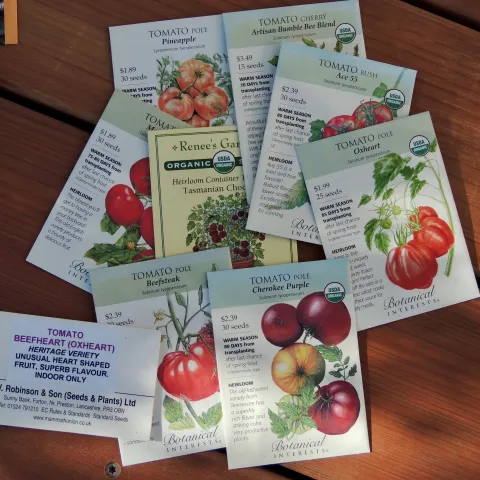Tomatoes are among the easiest of summer fruits to grow from seed. Save your seed from heirloom varieties to plant next year. Photo: Diane Lynch