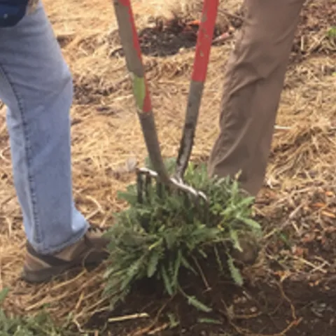 Photo: Joan Kozlowski