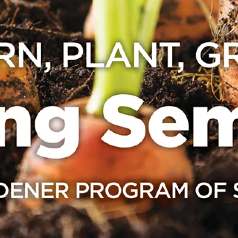VirtualSpringSeminar2021