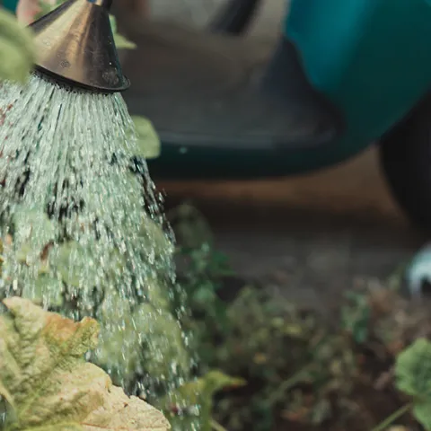 Photo: Jonathan Kemper, Unsplash