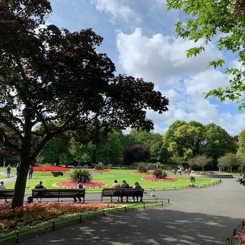 healthy landscape trees