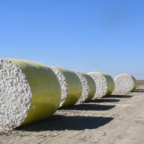 Bales of harvested cotton await their turn at the gin. (Photo: Jeff Mitchell)