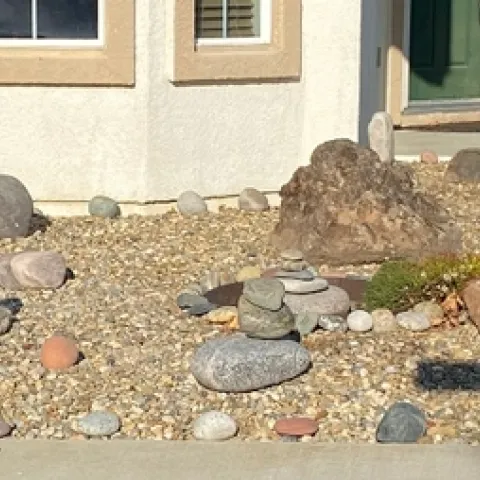 Front door rock garden (photo by David Bellamy)