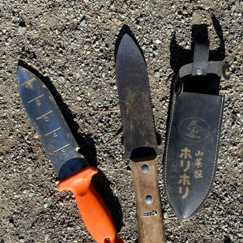 photo by Erin Mahaney