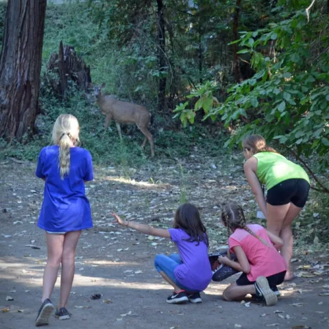 2018 4-H Camp 116 edited