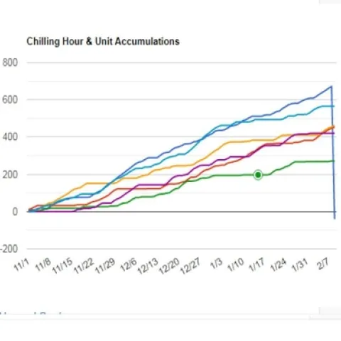 Chill Accumulations - Pajaro Valley. Each year represents Nov 1- Feb 8.