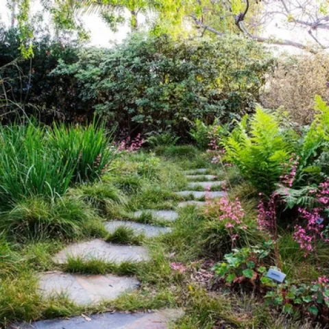 Shady garden (sunset.com)