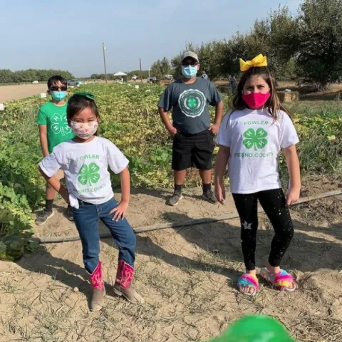 The UC Kearney Agricultural Research and Extension Center organized a socially distanced pumpkin growing contest in Fresno County during 2020 for local 4-H members, providing opportunities for enrichment and engagement.