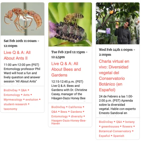 The line-up on Saturday, Feb. 20 for the UC Davis Biodiversity Museum Month live talks. (Screen shot)