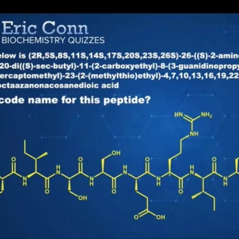 UC Davis undergraduate student Catherine Rodriguez competes in the Eric Conn Biochemistry Quizzes. The answer to this puzzle: "I love Eric."