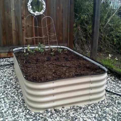 photo by Kathy Craig