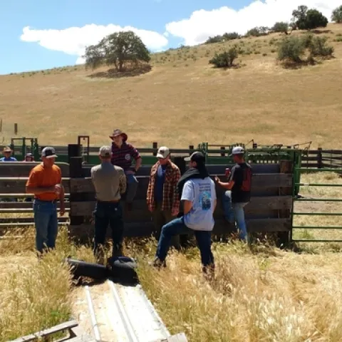 Some of the Schmidt family at pregnancy testing.