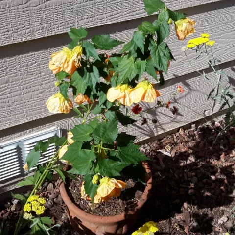 photos 1, 2, 3 by Betty Victor