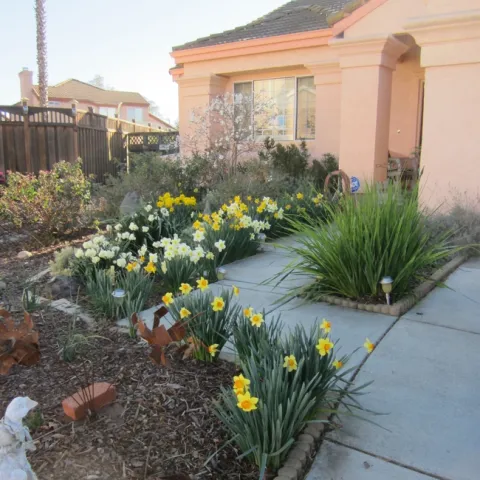 photos by Betsy Buxton